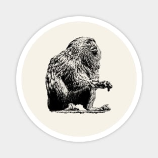 Marmoset Magnet